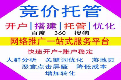 大型SEM服务公司案例分析